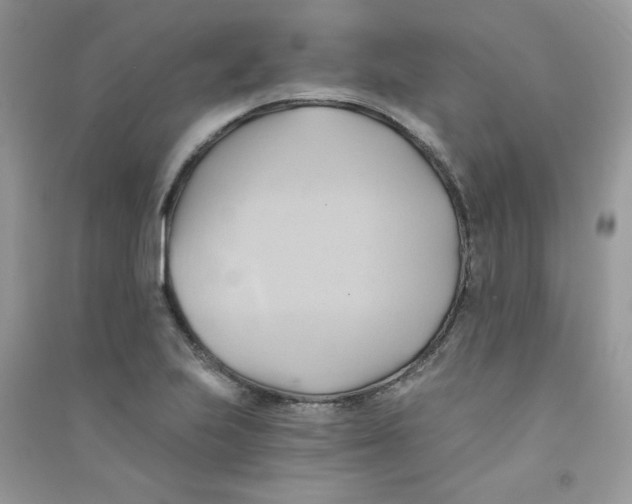 X0000090781223200708172121