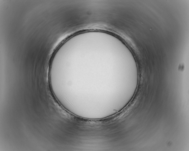 X0000090781224200708172121
