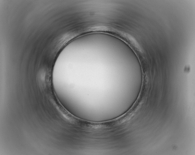 X0000090781225200708172121