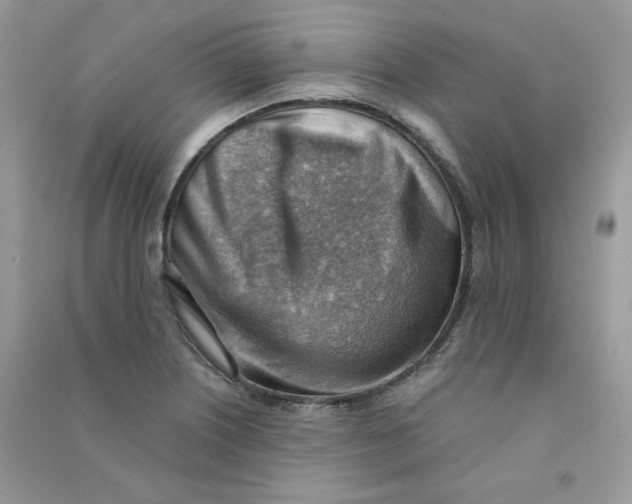 X0000090781226200708172121