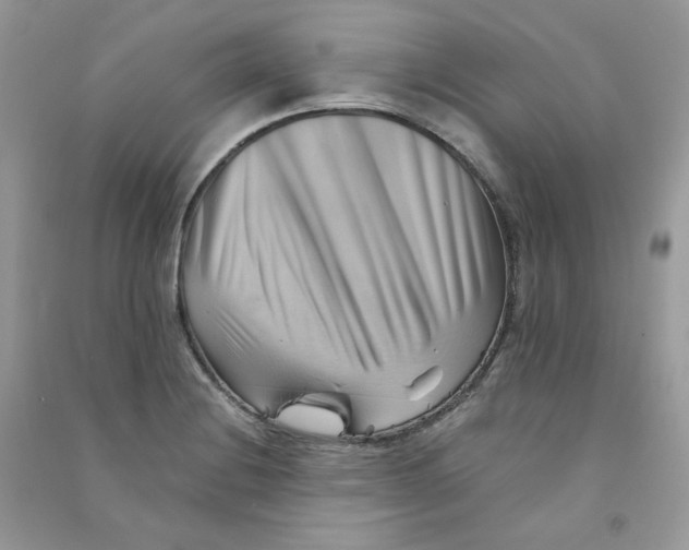 X0000090781228200708172121