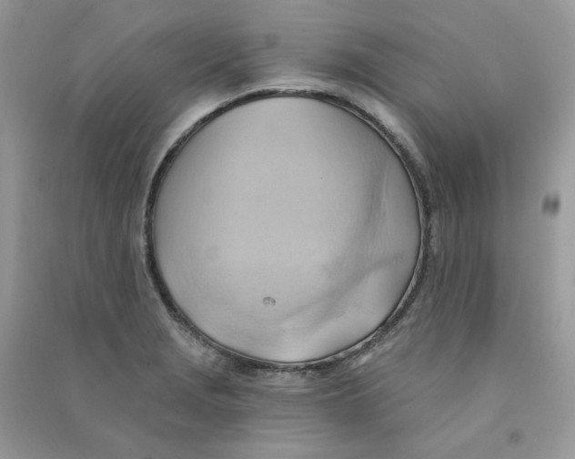 X0000090781229200708172121
