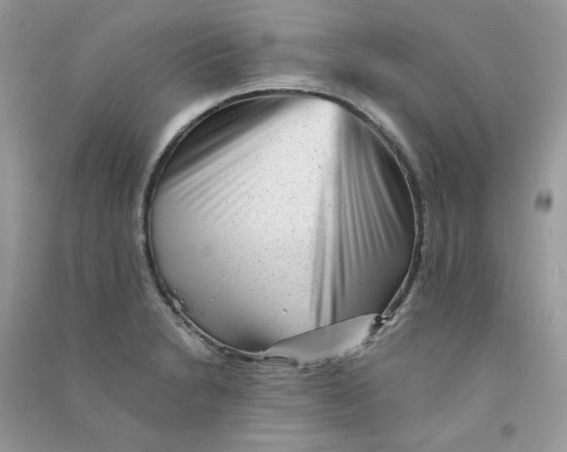 X0000090781230200708172121