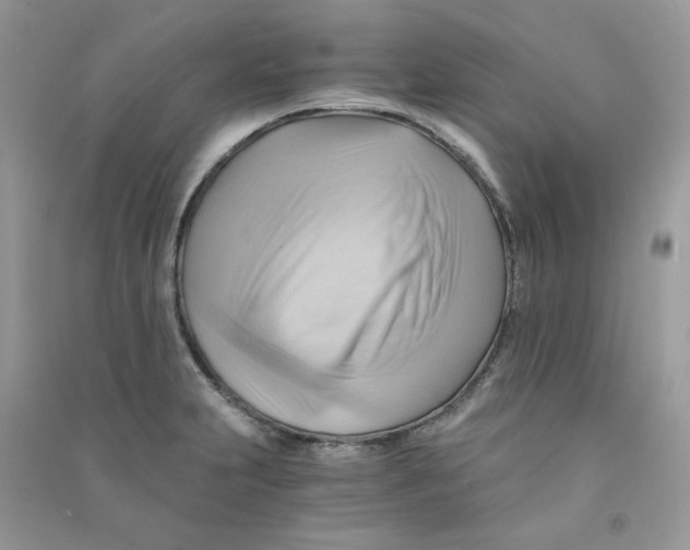 X0000090781231200708172121