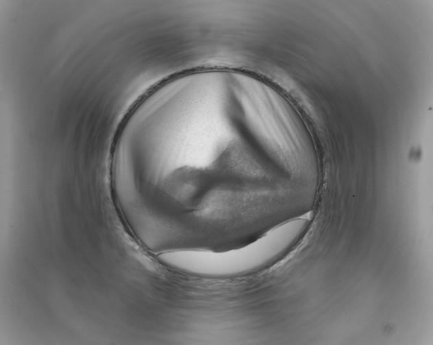 X0000090781232200708172121