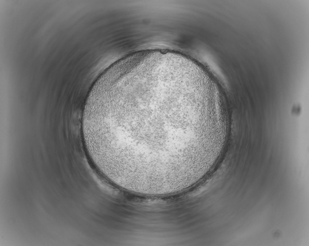 X0000090781233200708172121