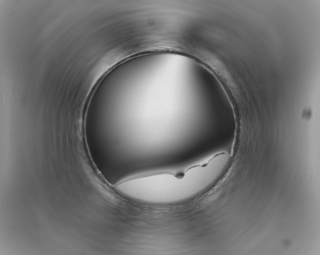 X0000090781234200708172121
