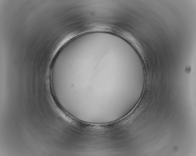 X0000090781235200708172121