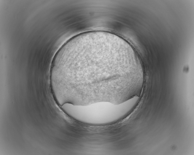 X0000090781236200708172121