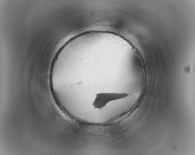 X0000090781237200708172121