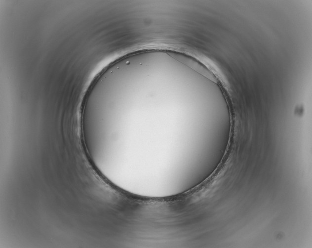 X0000090781238200708172121
