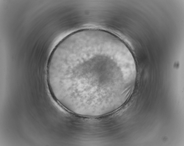X0000090781239200708172121