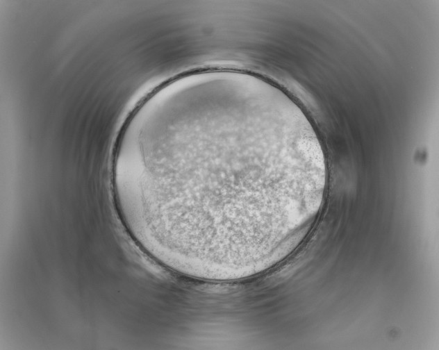 X0000090781240200708172121
