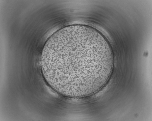 X0000090781241200708172121