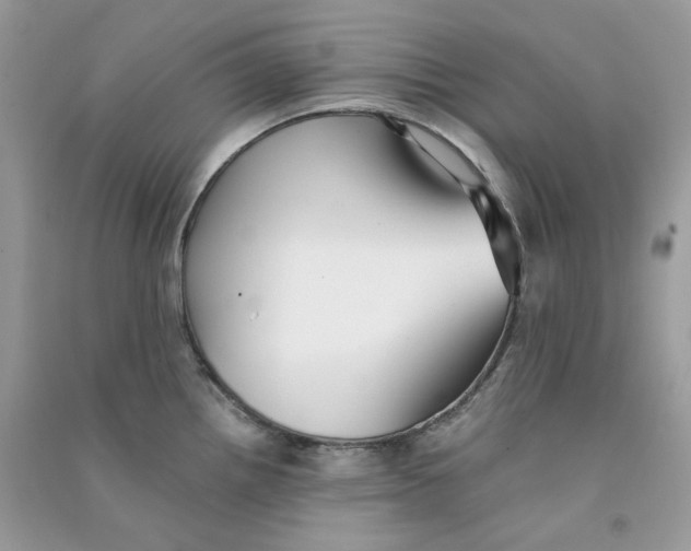 X0000090781242200708172121