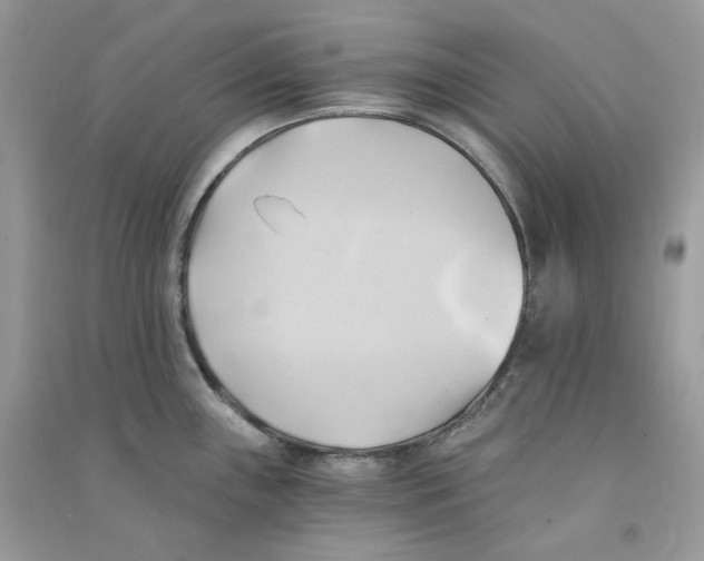 X0000090781243200708172121