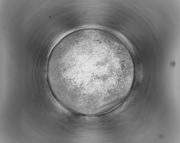 X0000090781244200708172122