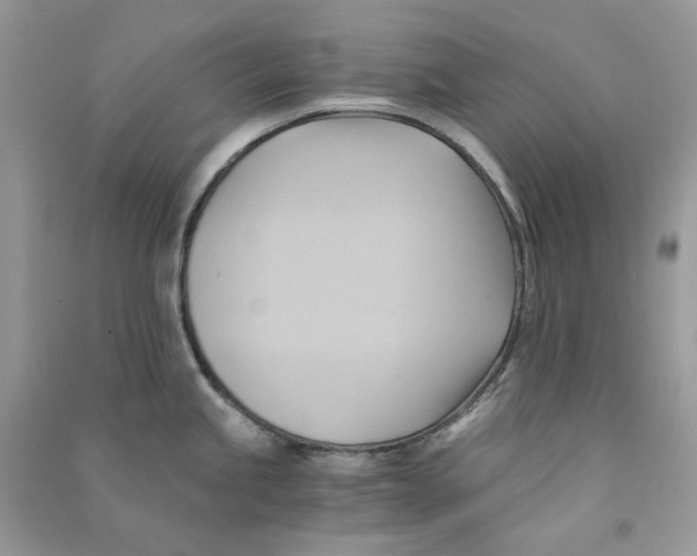 X0000090781245200708172122