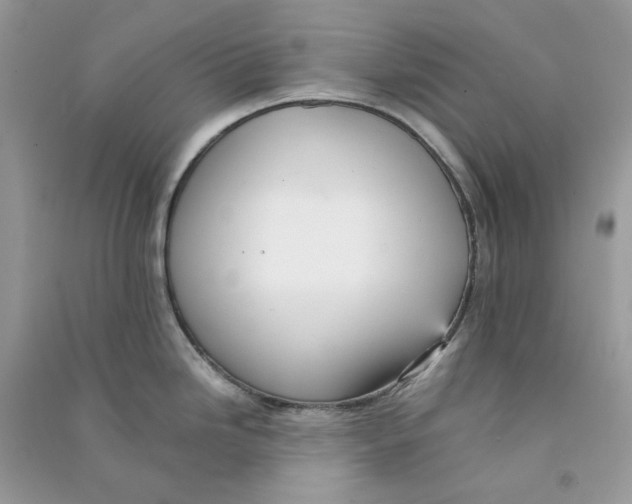 X0000090781246200708172122