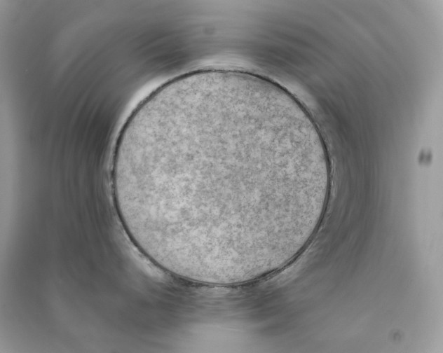 X0000090781248200708172122