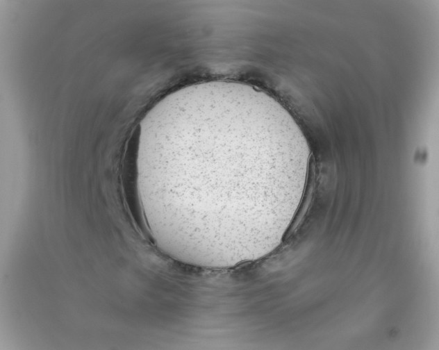 X0000090781249200708172121