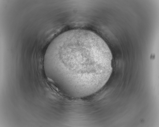 X0000090781250200708172121