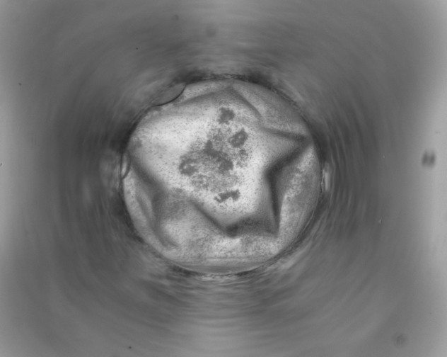 X0000090781251200708172121