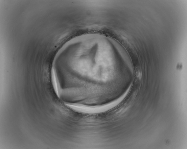 X0000090781252200708172121