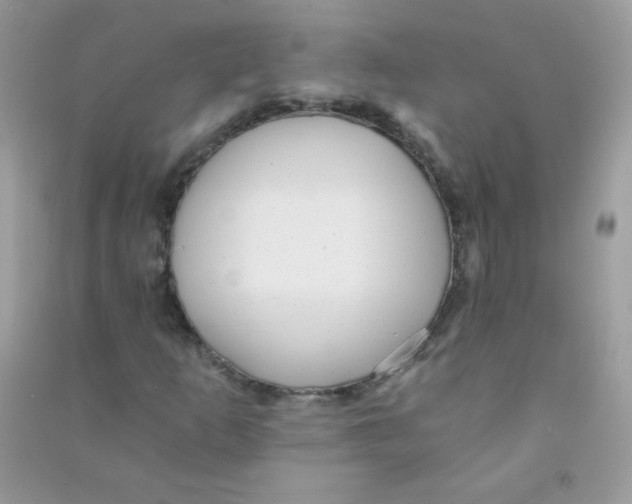 X0000090781253200708172121