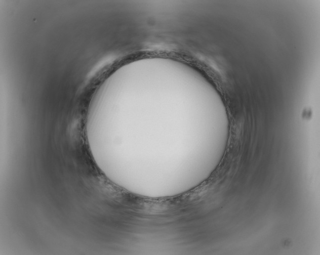 X0000090781254200708172121