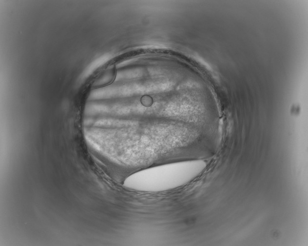 X0000090781255200708172121