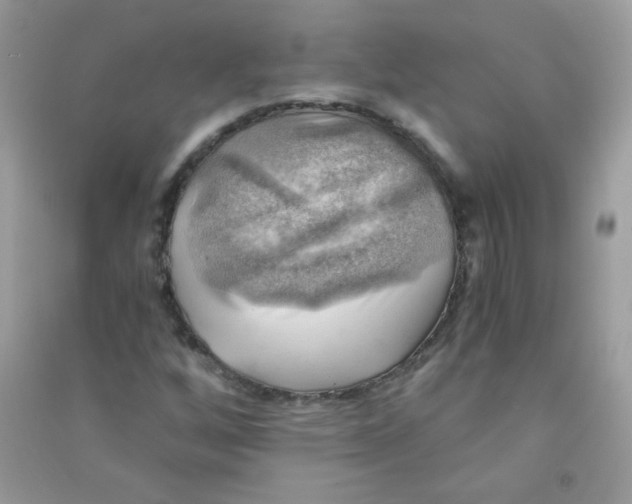 X0000090781256200708172121
