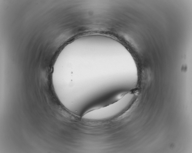 X0000090781257200708172121