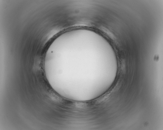 X0000090781258200708172121