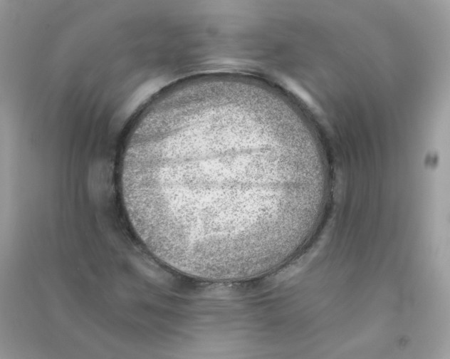 X0000090781259200708172121