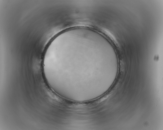 X0000090781260200708172121