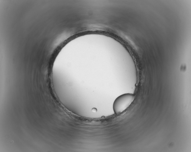 X0000090781261200708172121