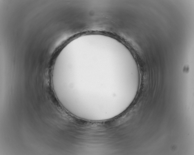X0000090781262200708172121