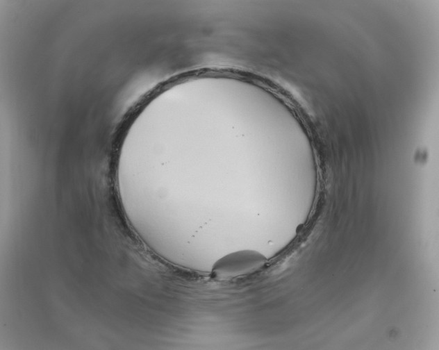 X0000090781263200708172121