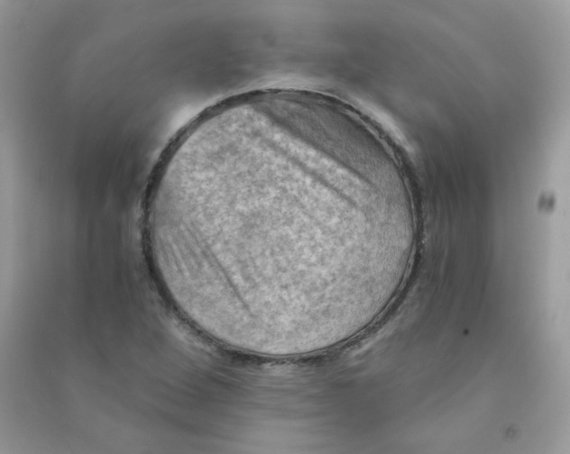 X0000090781264200708172121