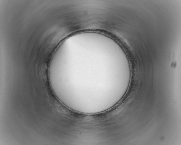 X0000090781265200708172121