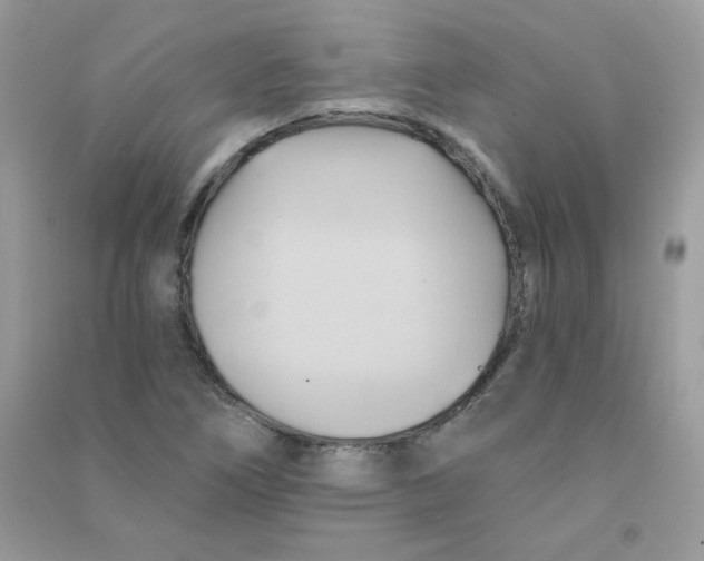 X0000090781266200708172121