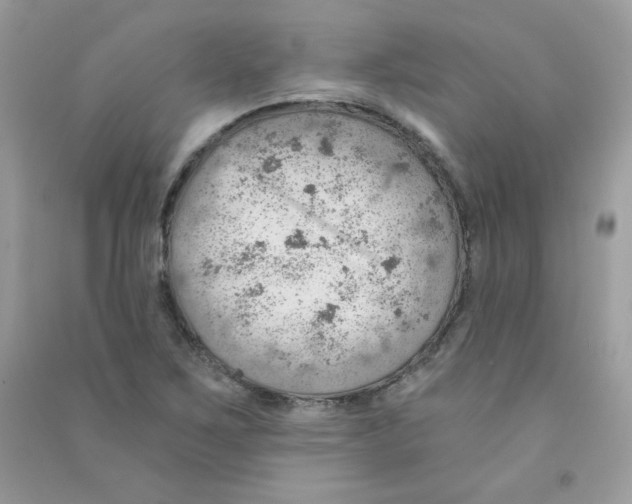 X0000090781267200708172121