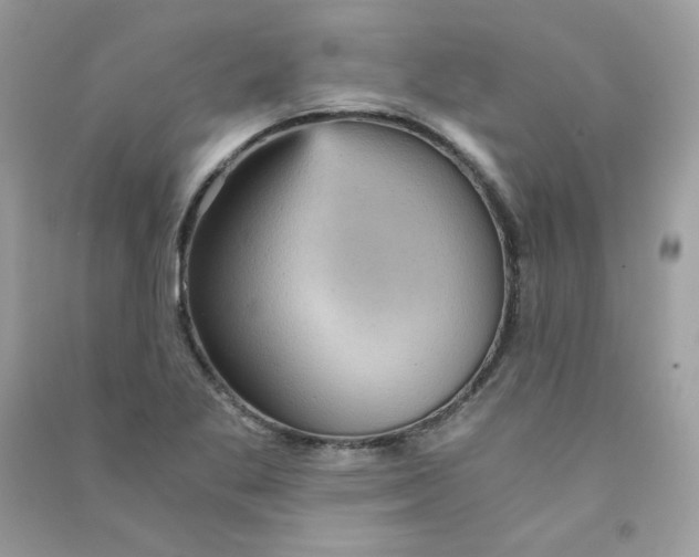X0000090781269200708172121