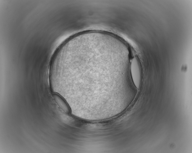 X0000090781272200708172120