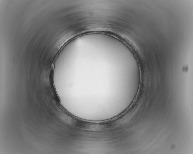 X0000090781273200708172120