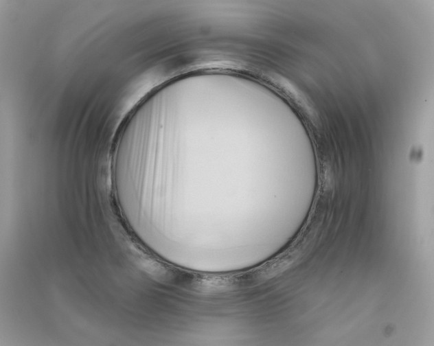 X0000090781274200708172120