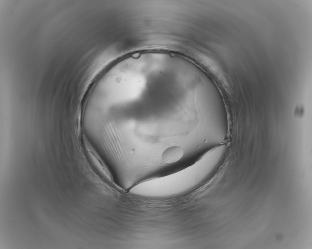 X0000090781275200708172120
