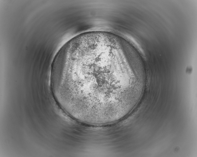 X0000090781276200708172120