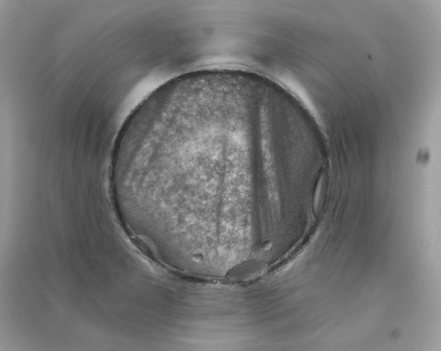 X0000090781277200708172120